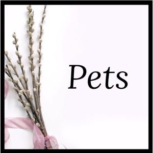 🐶 🐱 Pet Section